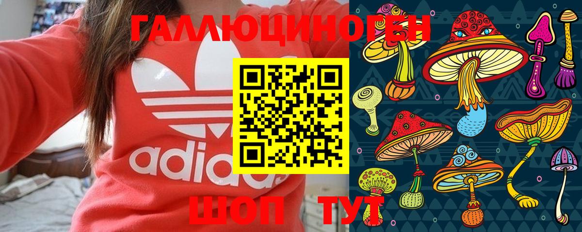 Галлюциногенные грибы Psilocybe Кувандык